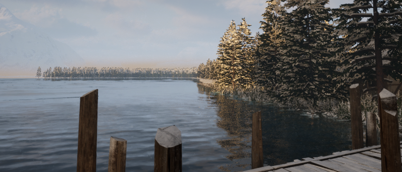 Lakeside in winter